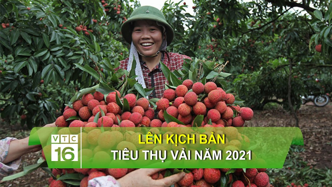 Video ngắn – Giải pháp truyền thông thông minh cho doanh nghiệp nhỏ_video kể về tín hiệu